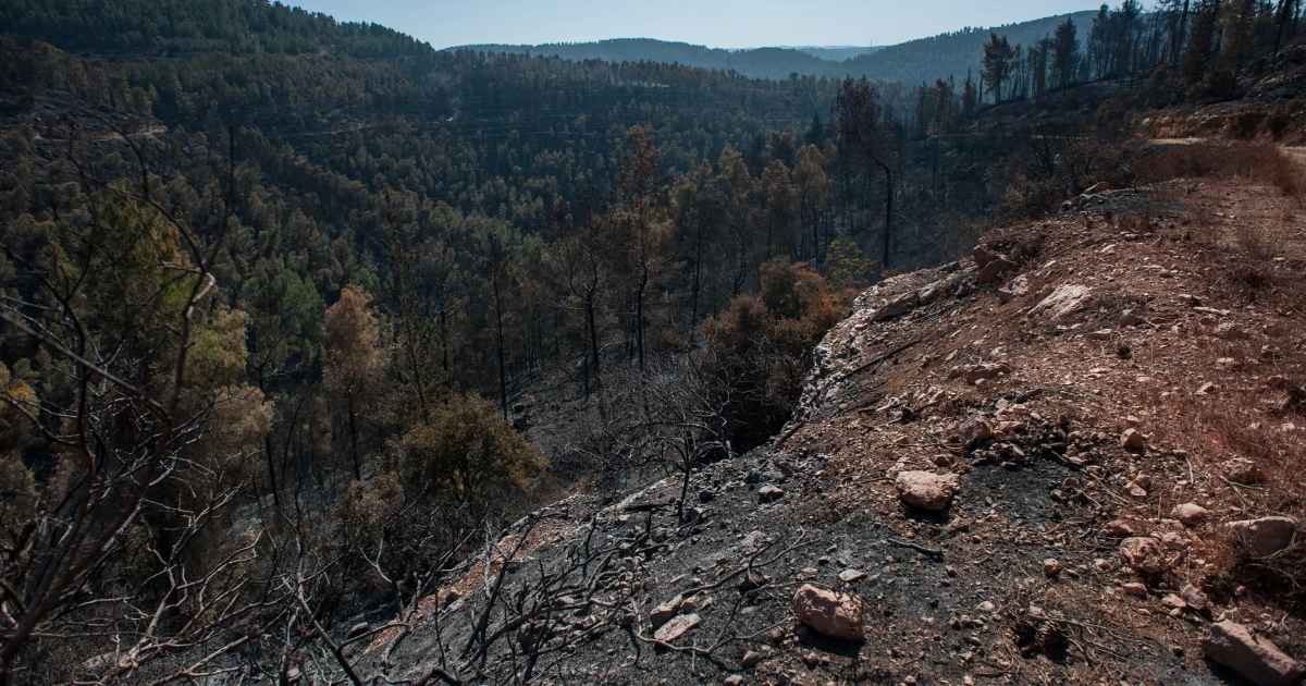 Nova técnica desenvolvida por brasileiros aprimora previsão de deslizamentos