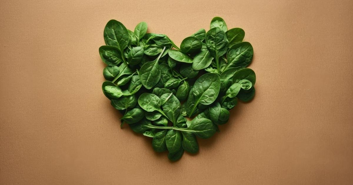 Folha de espinafre vira base para coração humano produzido em laboratório