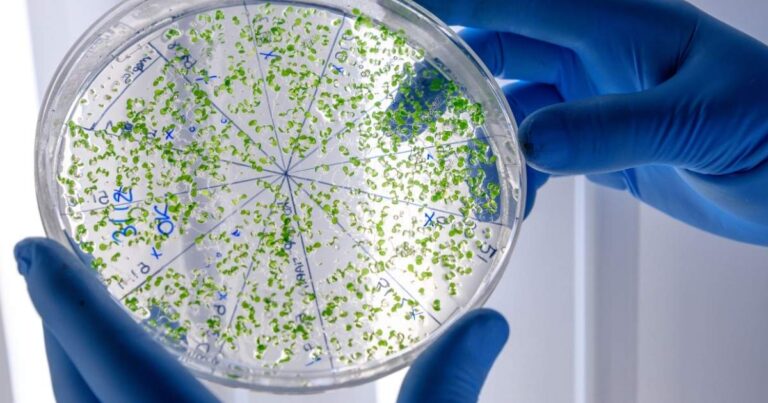 IA cria moléculas inéditas e avança no combate às superbactérias