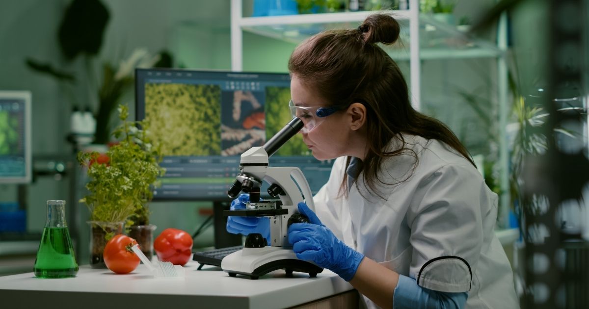 Uso de nanotecnologia amplia segurança dos alimentos e exige adaptação do agro