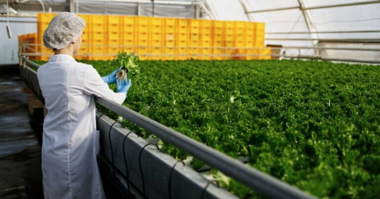 Paraná e Portugal firmam parceria para pesquisa em tecnologia para produção de alimentos
