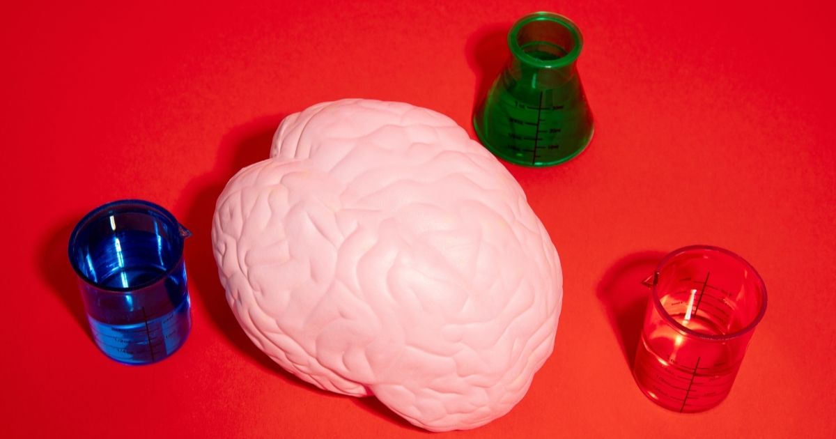Técnica inspirada em mecanismos naturais pode abrir caminho para nova proteção cerebral durante AVC