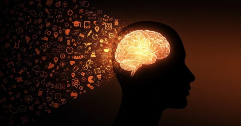 estudo-revela-como-o-cerebro-evita-misturar-memorias