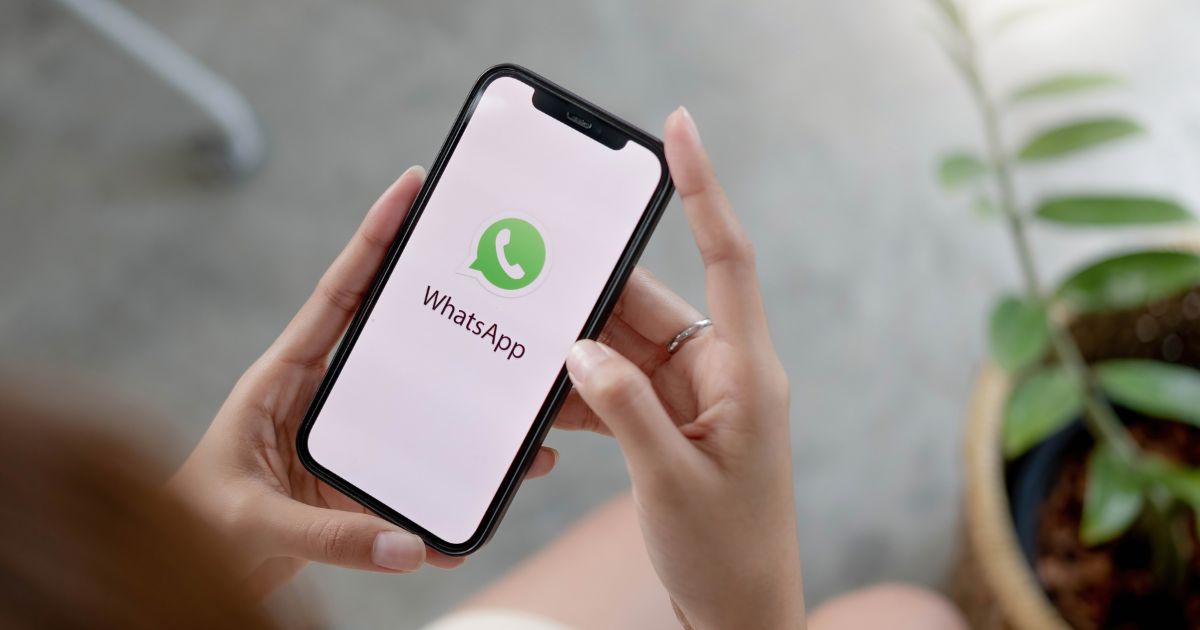 Você deveria apagar os contatos antigos do WhatsApp; entenda por que